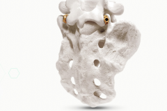 Biomech_sulution_innovation_2