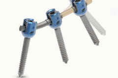 Biomech_sulution_innovation_3